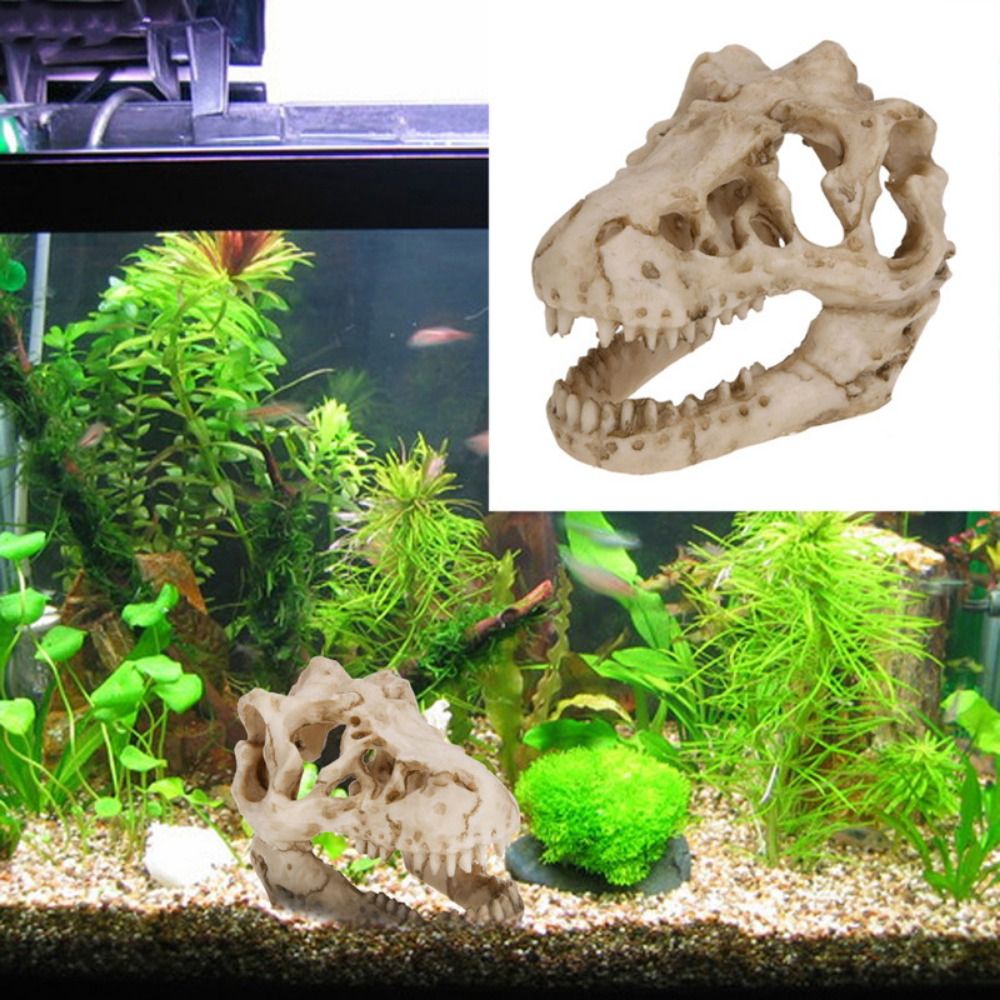 Aquarium Fish Hideout - ديناصور محاكاة إبداعية لحوض السمك ،