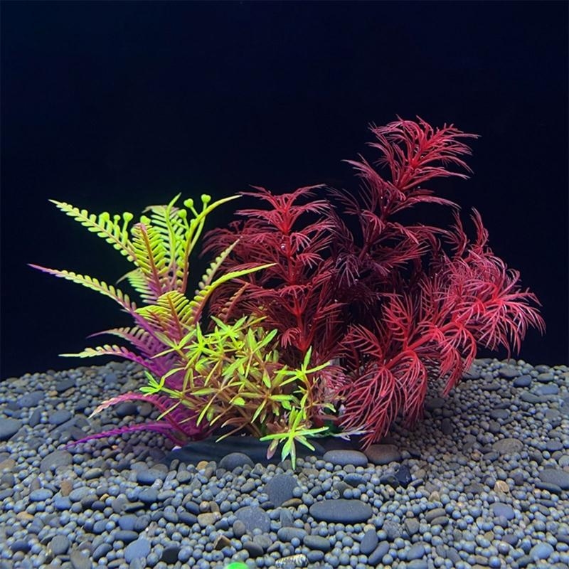 Aquarium Fish For Sale - حوض السمك الاصطناعي الديكور نبات الأسماك