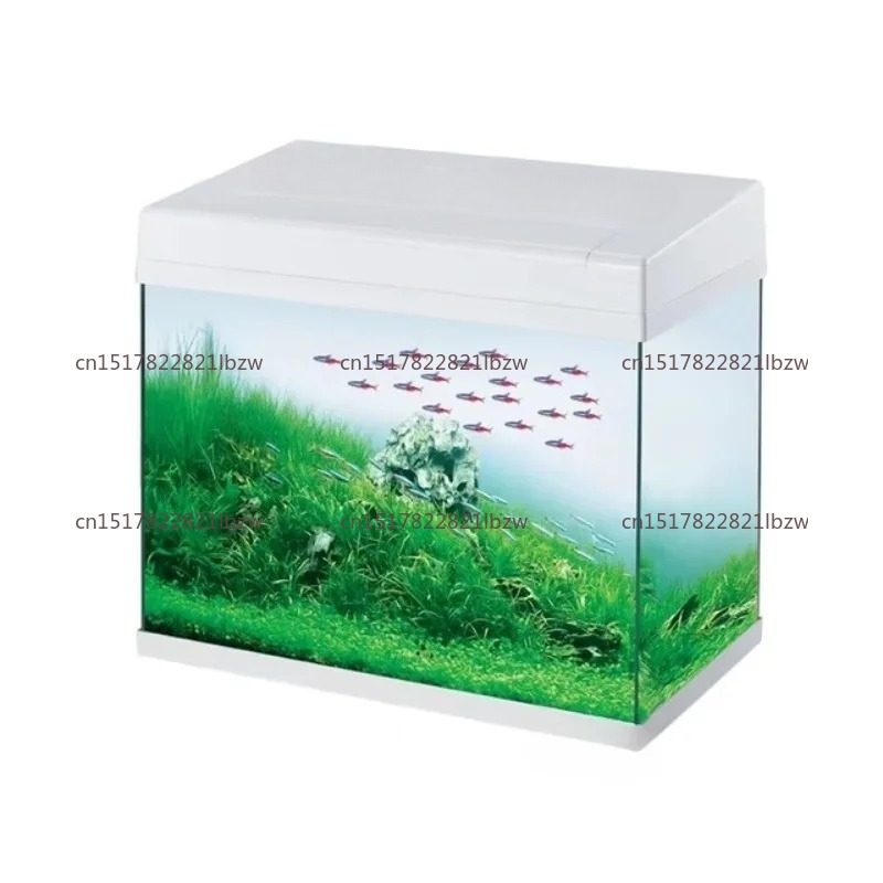 Aquarium Mini Fish - حوض سمك زجاجي صغير للمكتب والمنزل