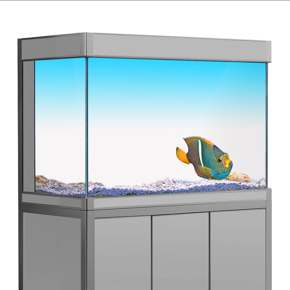 Aquarium Fish Yellow - ملصق خلفية لخزان الأسماك أبيض أصفر