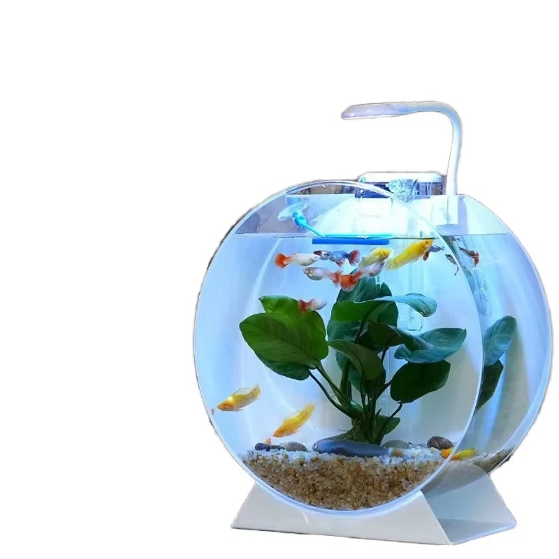 Aquarium Fish For Sale - رائجة البيع خزانات الأسماك الاكريليك الحديثة
