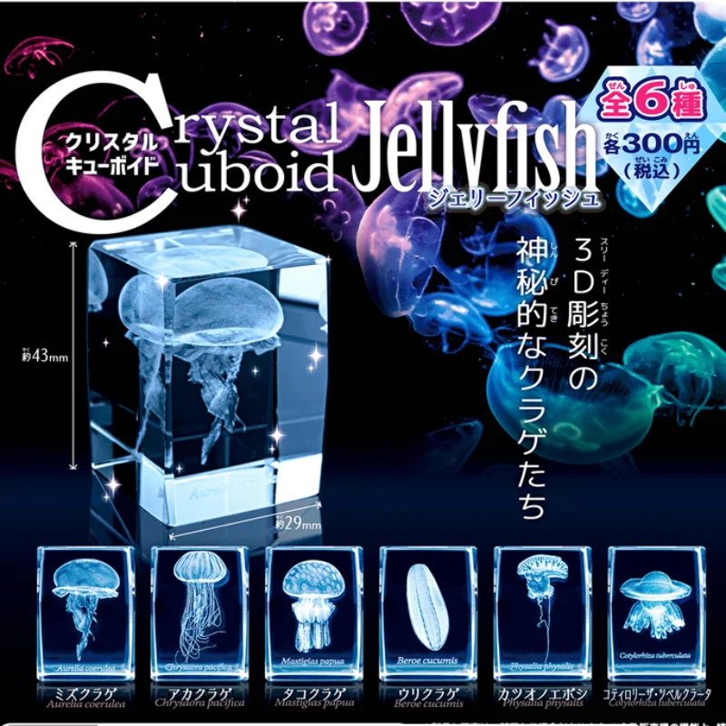 Aquarium Fish Japan - اليابان Gashapon قنديل البحر ثلاثية الأبعاد