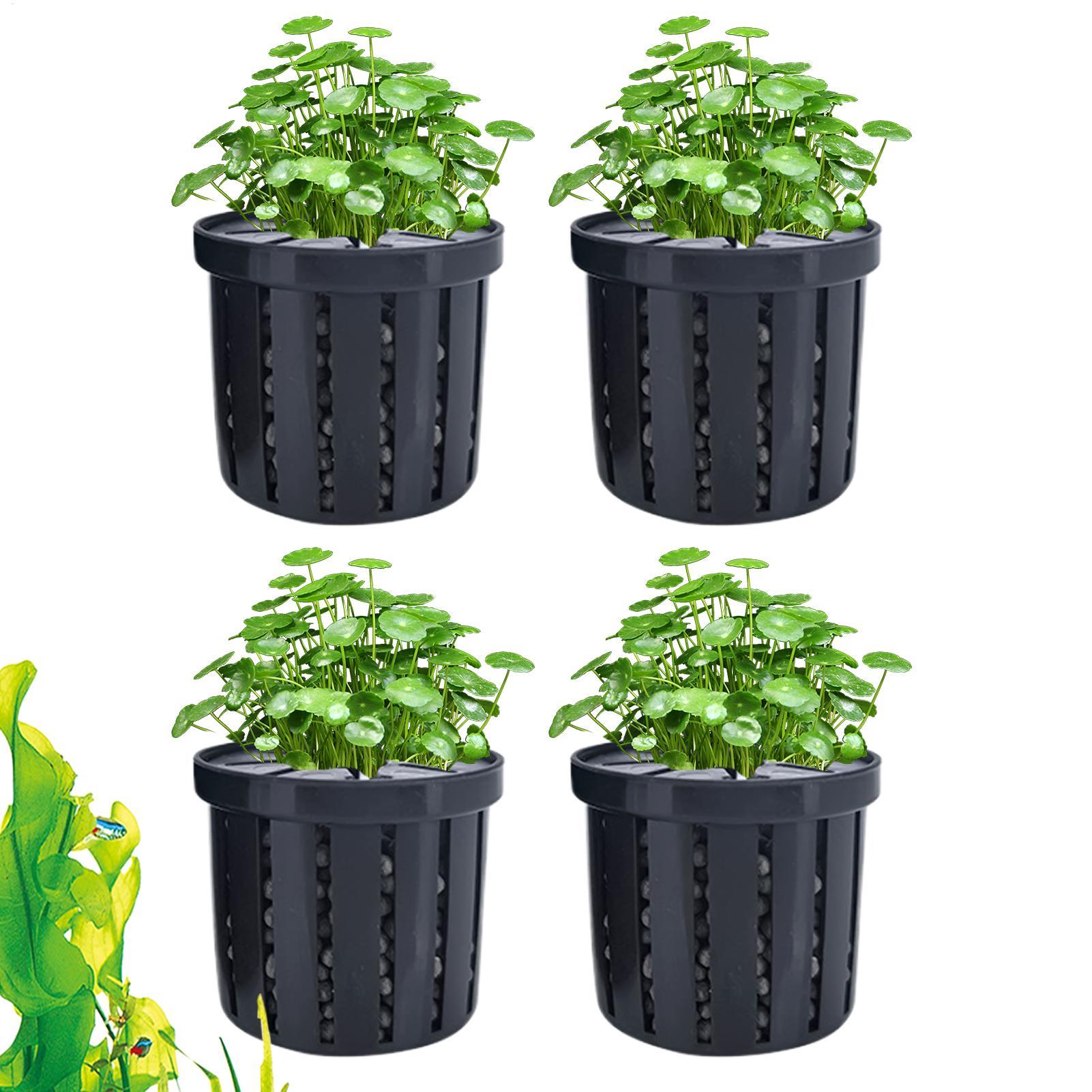 Aquarium Fish Pot - 4 قطع من أواني الزراعة المائية