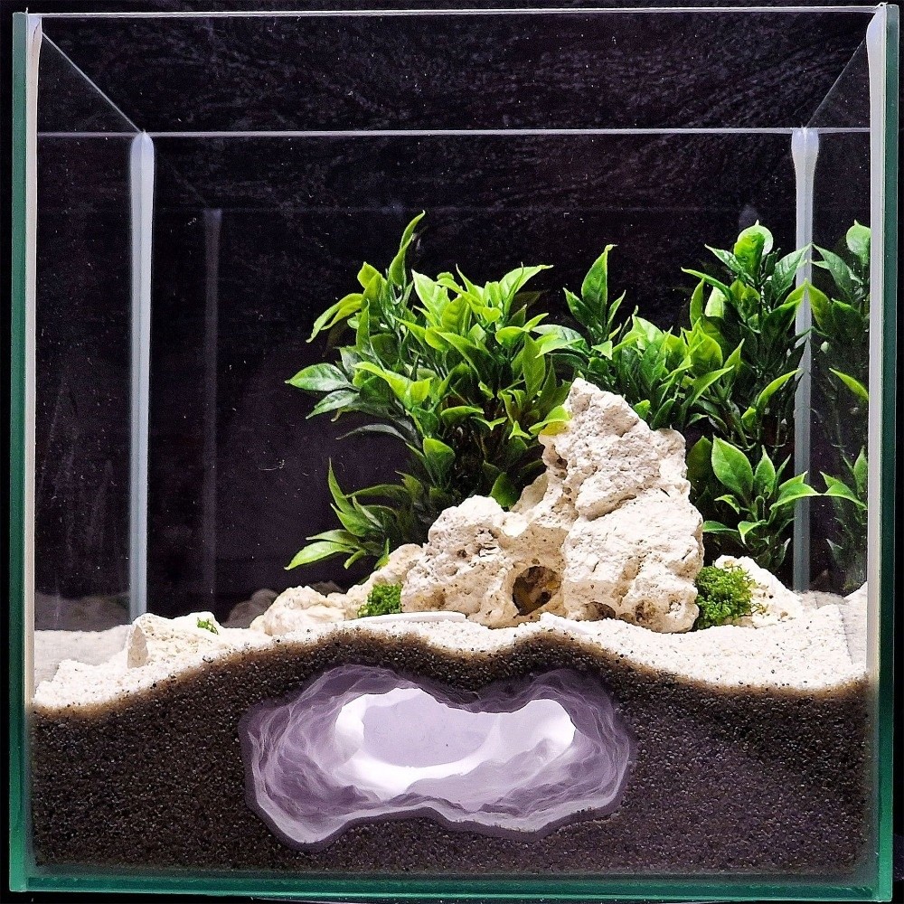 Aquarium Fish Hideout - حوض أسماك محاكي للواقع بدرجة عالية،