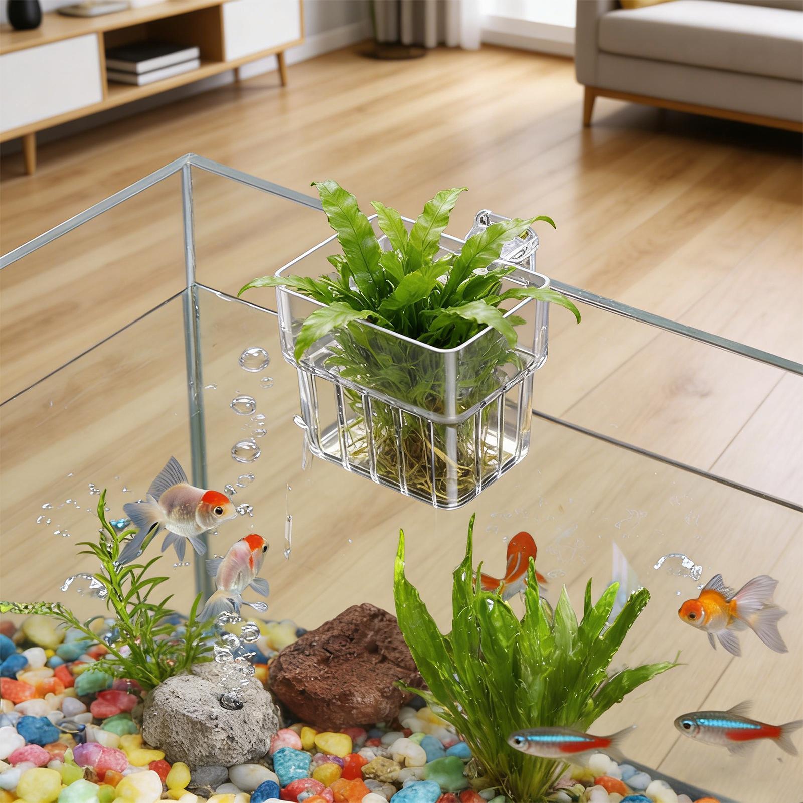 Aquarium Fish Pot - وعاء شفاف قابل للتعليق لحمل نباتات