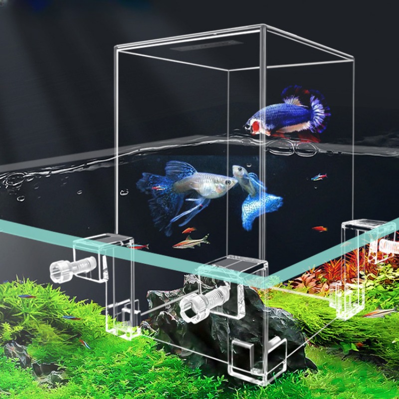 Aquarium Fish Pot - حوض السمك بالضغط السلبي للأسماك الصغيرة