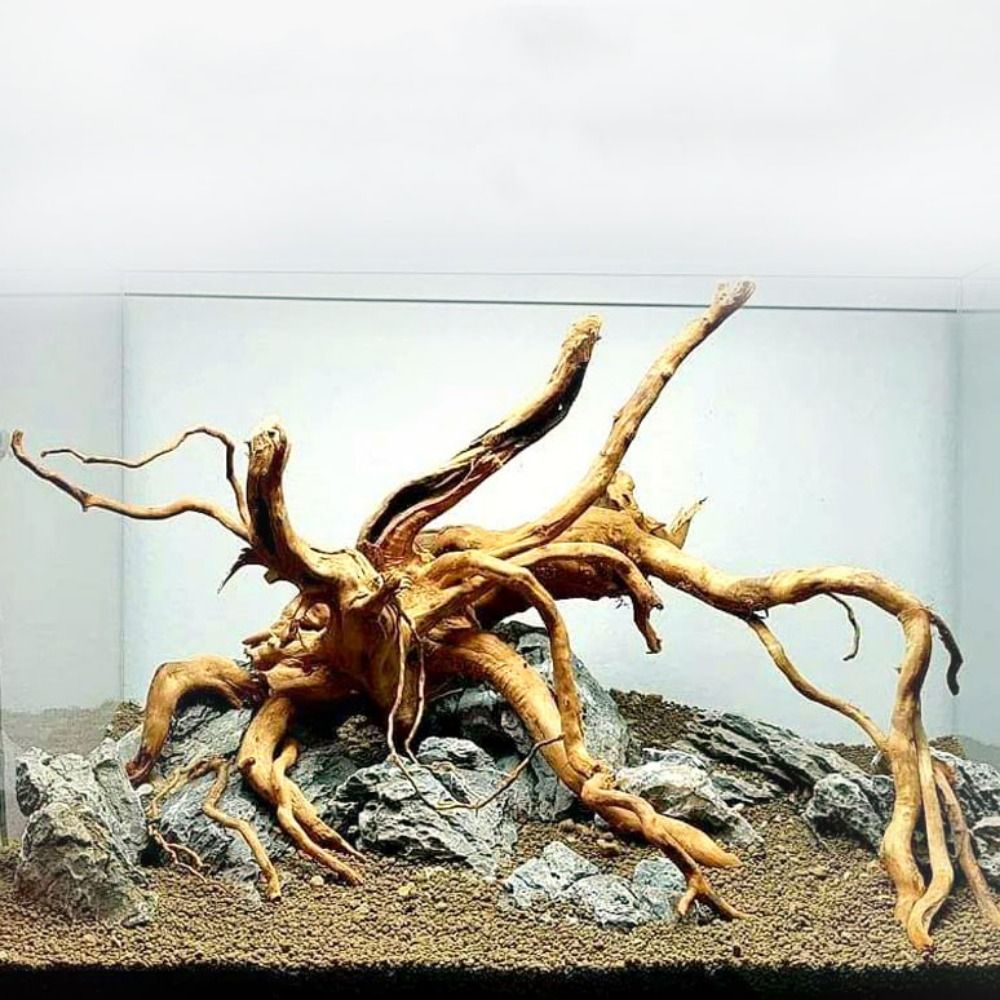 Aquarium Fish Big - خشب عائم طبيعي كبير لحوض السمك
