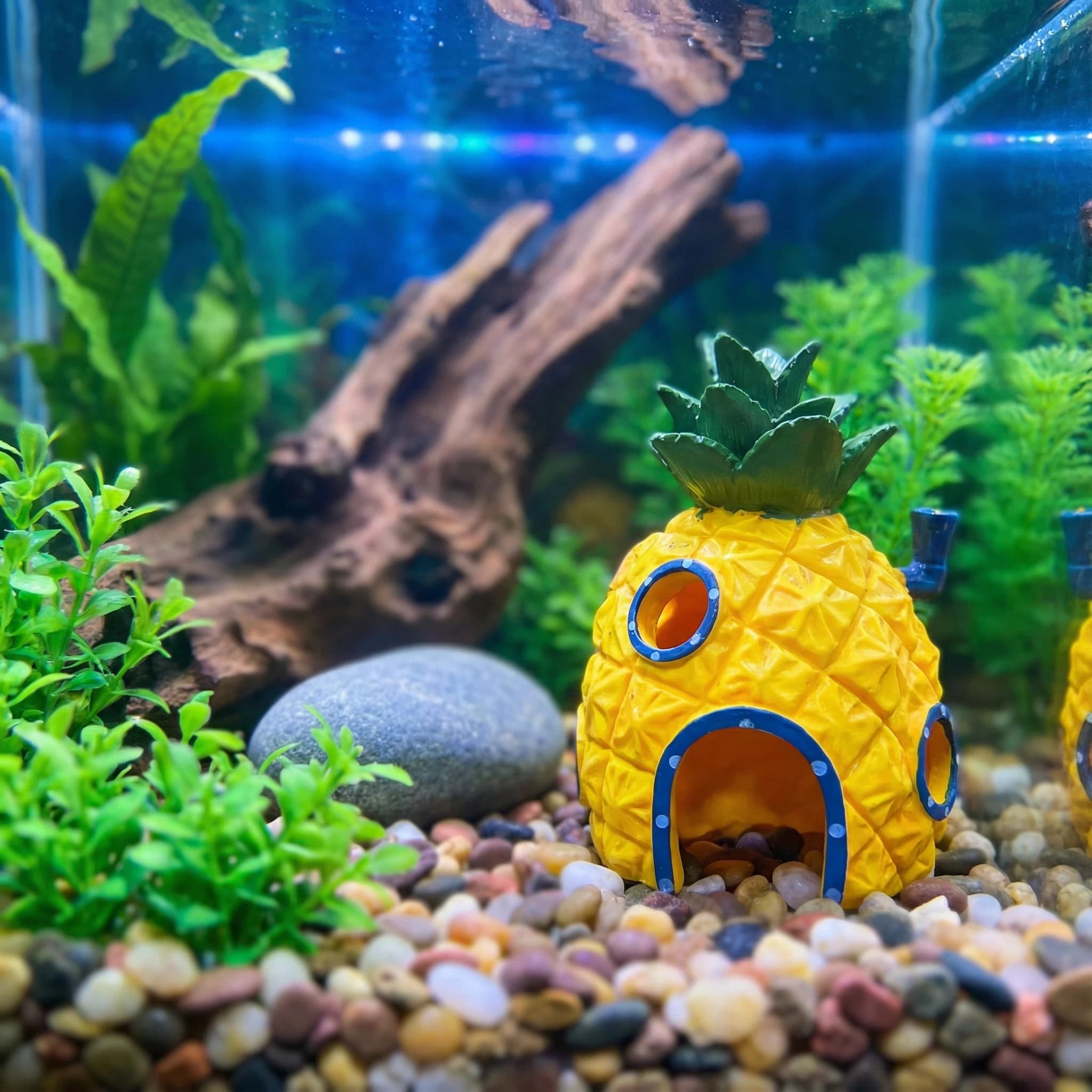 Aquarium Fish Hideout - ديكور حوض السمك على شكل بيت