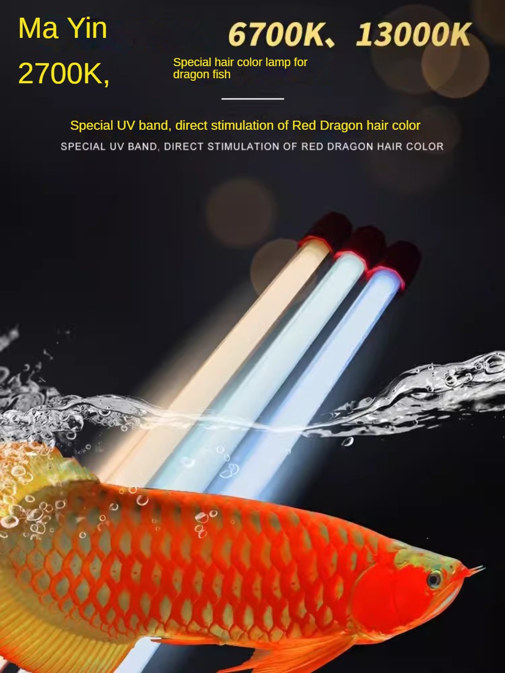 Aquarium Fish Yellow - إضاءة حوض أسماك الأروانا الزجاجية، إضاءة