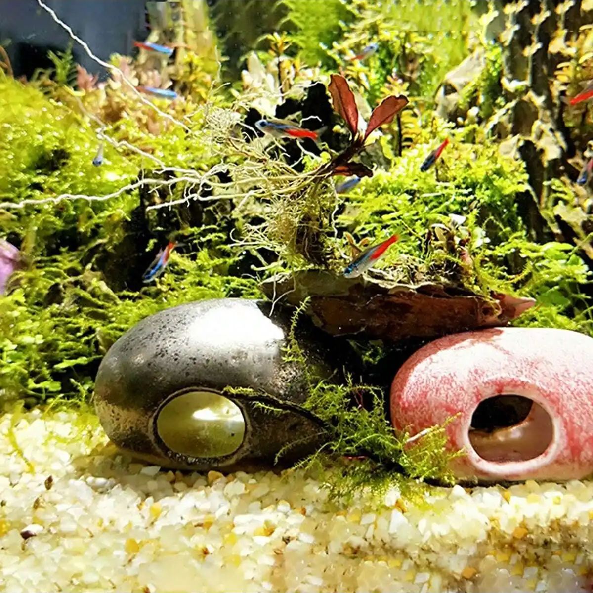 1 قطعة-250 جرام بلورات الطبيعي - مراجعة Aquarium Fish Pot وسعره