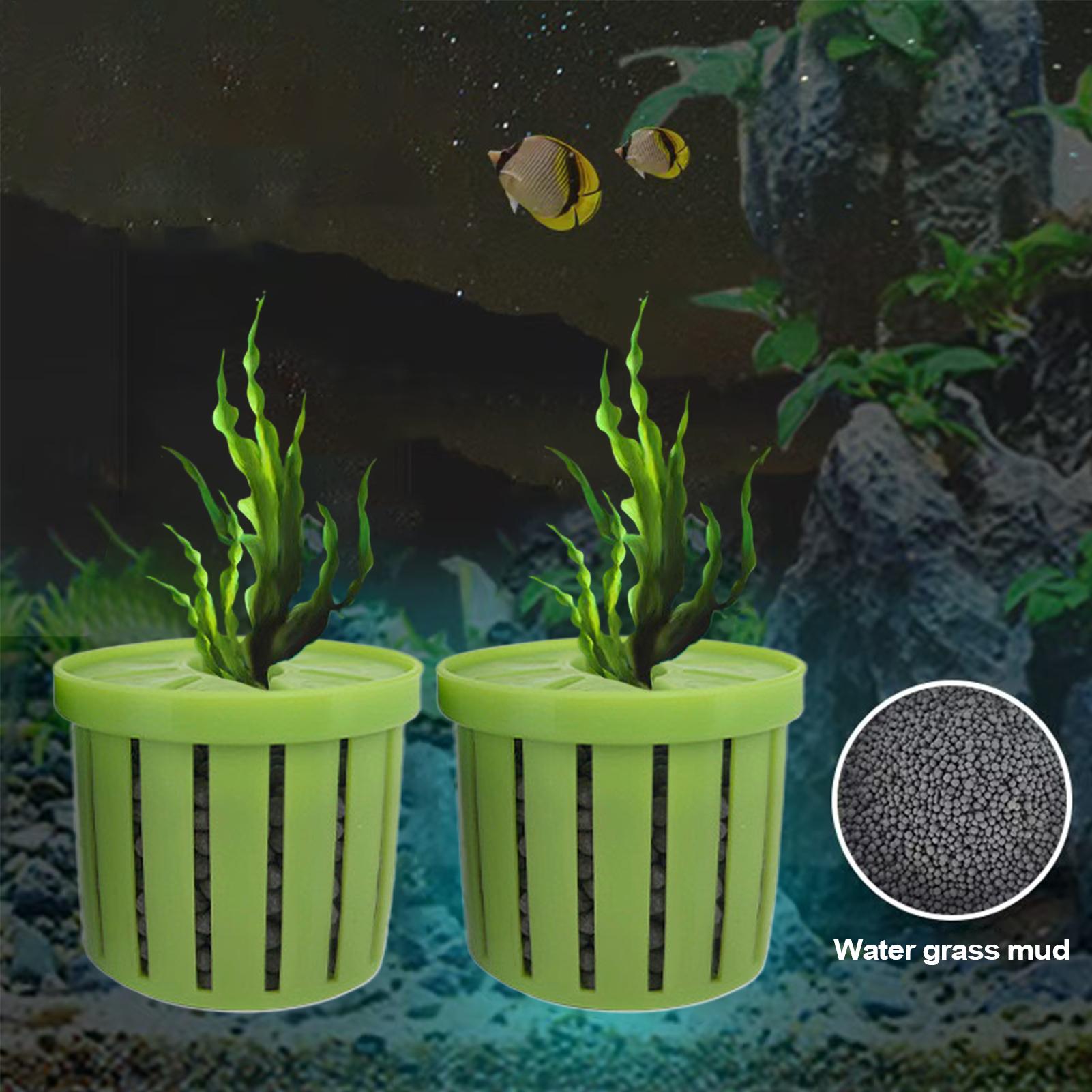 حامل نباتات حوض السمك الثابت ( - مراجعة Aquarium Fish Restaurant وسعره