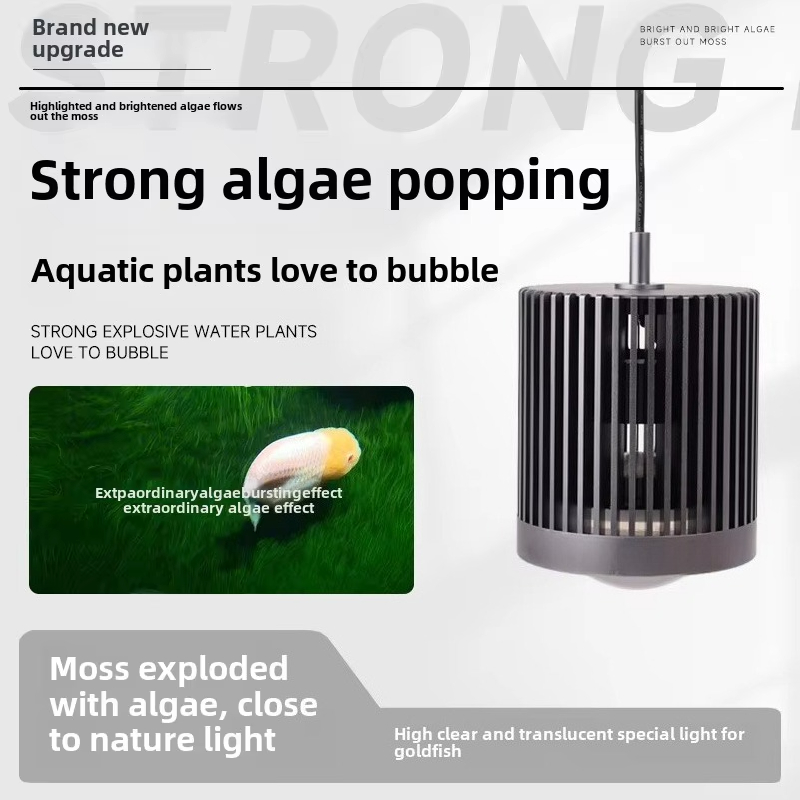 Skynuo سوبر اللون 100 واط المي - مراجعة Aquarium Fish Colour وسعره