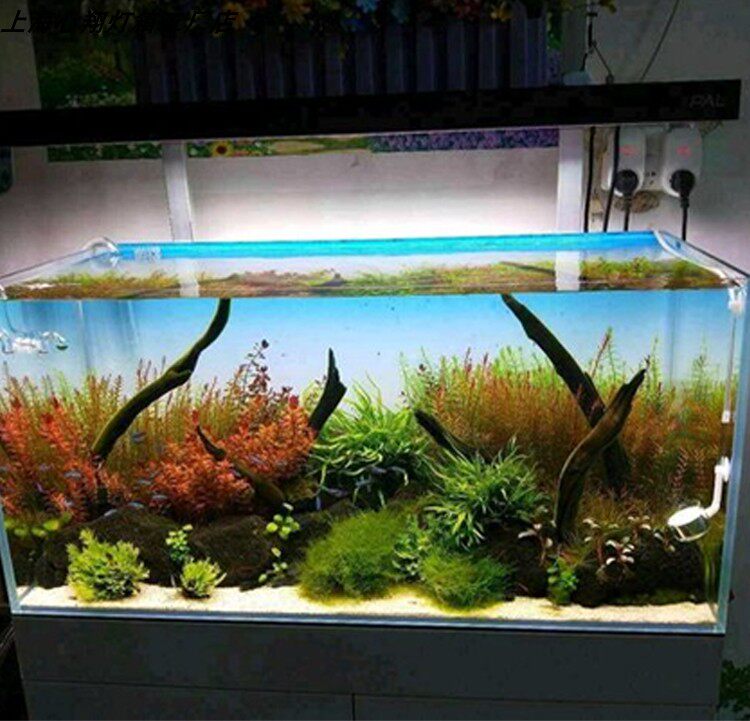 خلفية حوض السمك من الأكريليك ب - مراجعة Aquarium Fish Colour وسعره