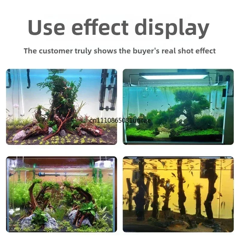 خلفية حوض السمك من الأكريليك ب - مراجعة Aquarium Fish Colour وسعره