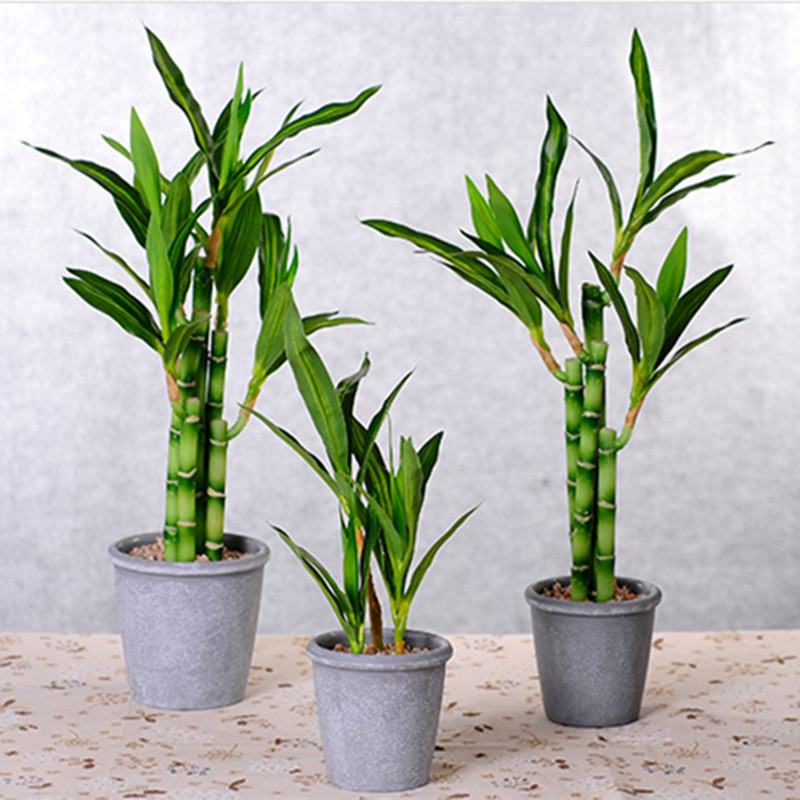 جديد 40 سنتيمتر rFtificial محظ - مراجعة Aquarium Fish Pot وسعره