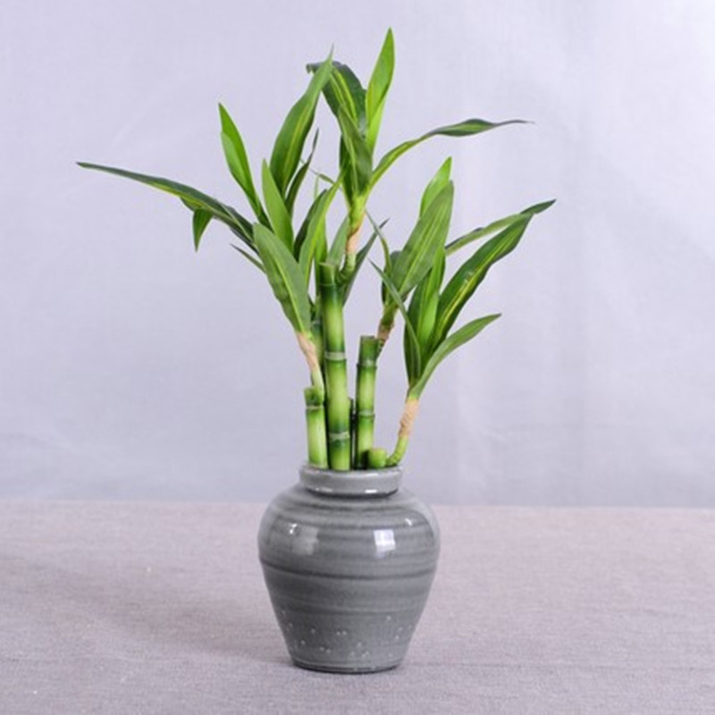 جديد 40 سنتيمتر rFtificial محظ - مراجعة Aquarium Fish Pot وسعره