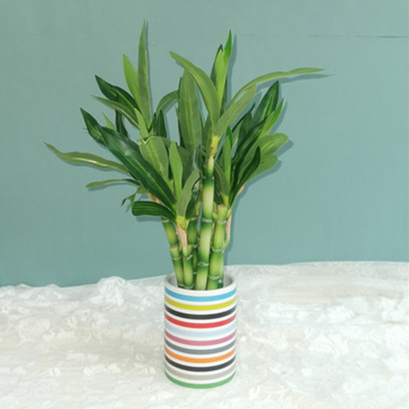 جديد 40 سنتيمتر rFtificial محظ - مراجعة Aquarium Fish Pot وسعره