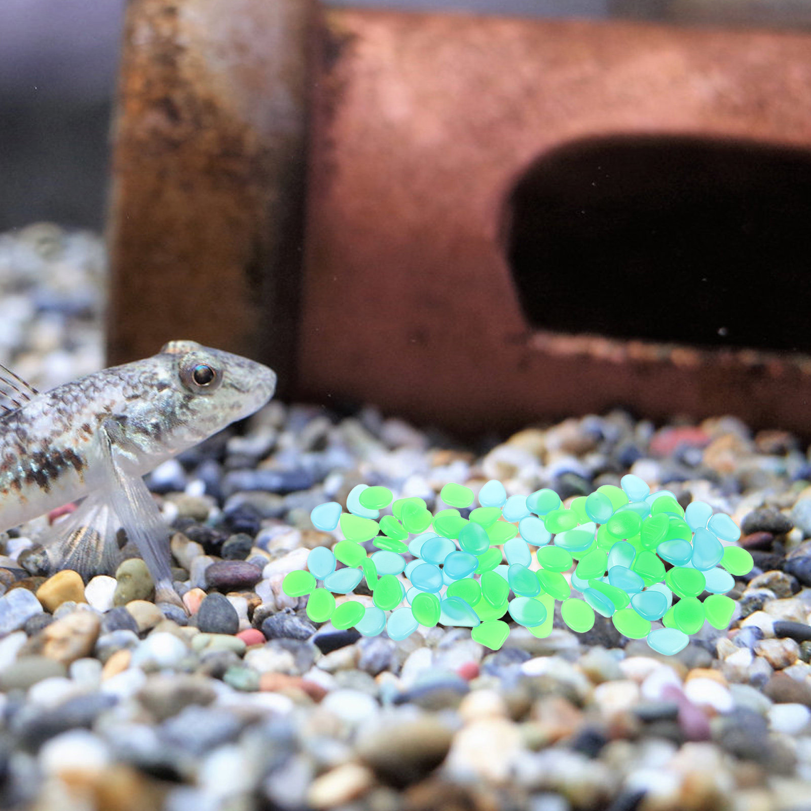 100 قطعة من الأحجار المضيئة ال - مراجعة Aquarium Decoration Rock وسعره