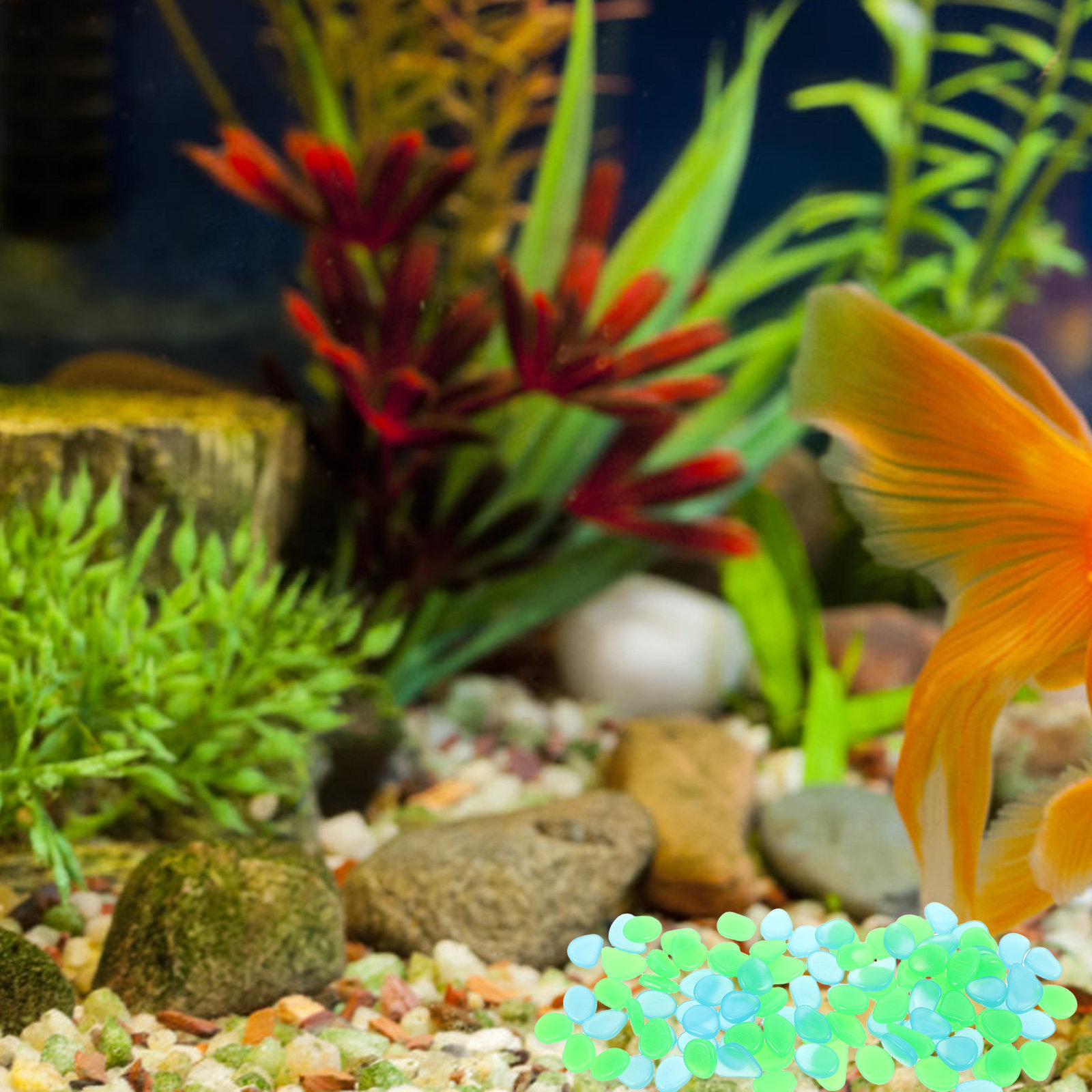 100 قطعة من الأحجار المضيئة ال - مراجعة Aquarium Decoration Rock وسعره