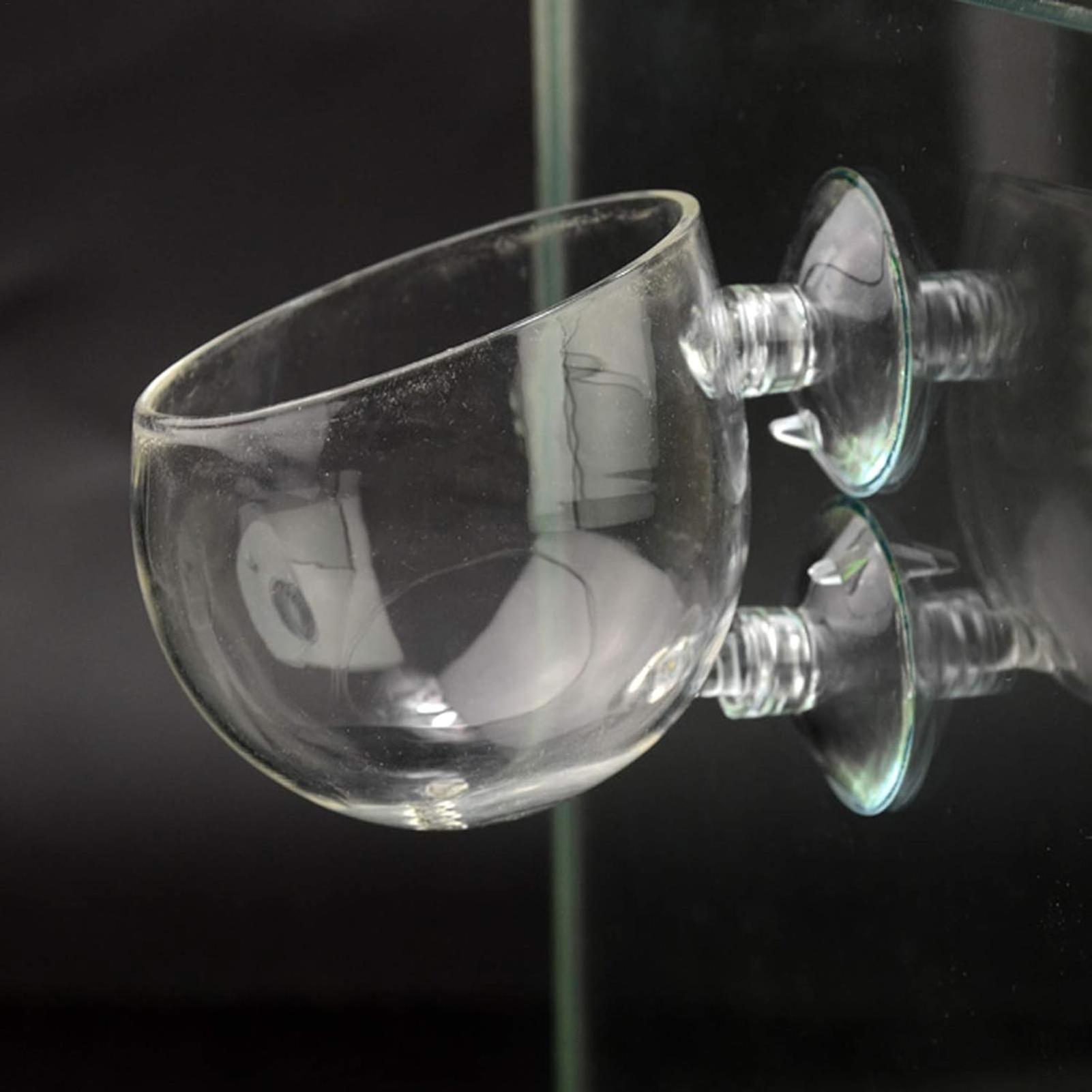 حامل نباتات الزينة الزجاجي مع  - مراجعة Aquarium Fish Pot وسعره