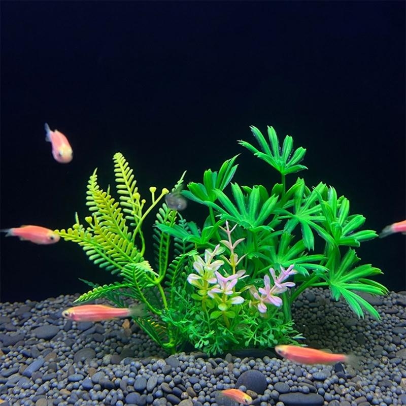 حوض السمك الاصطناعي الديكور نب - مراجعة Aquarium Fish For Sale وسعره