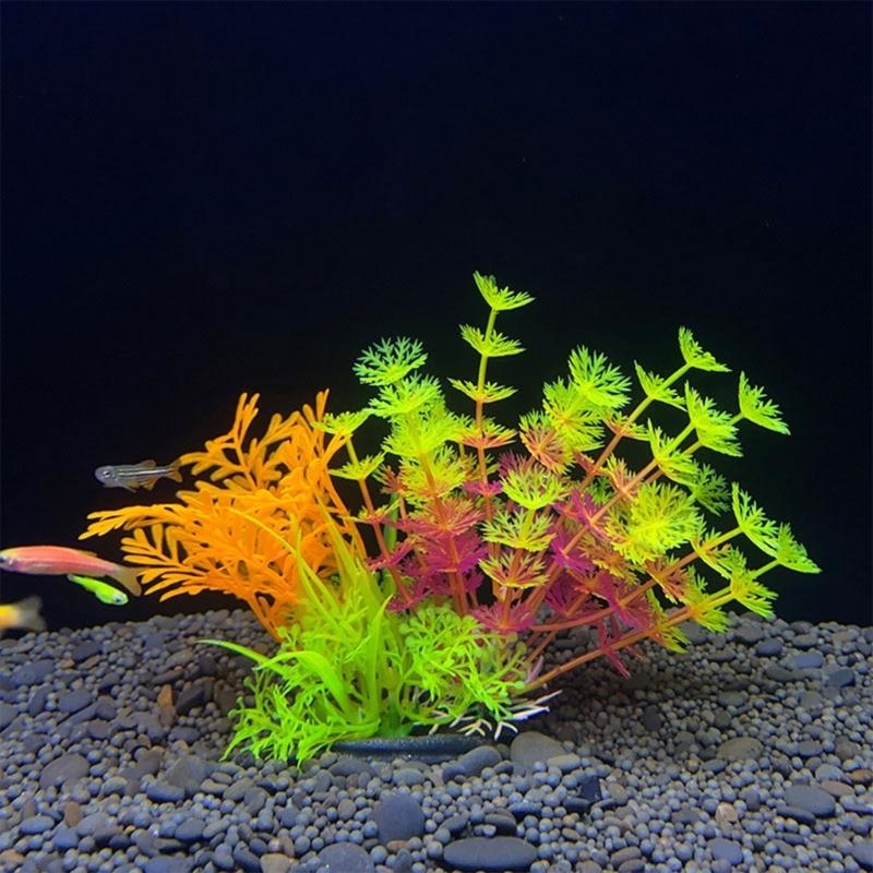 حوض السمك الاصطناعي الديكور نب - مراجعة Aquarium Fish For Sale وسعره