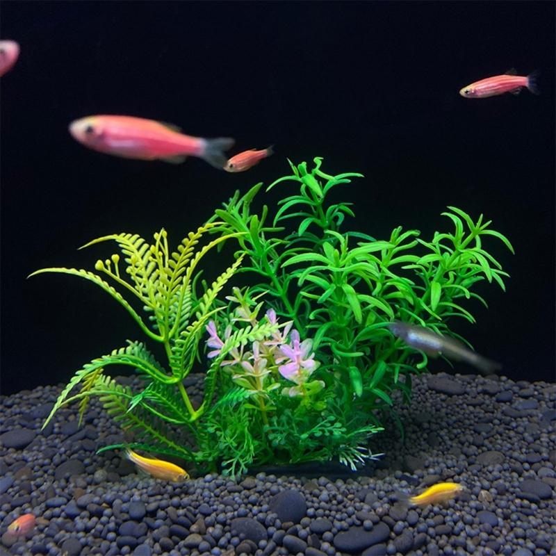 حوض السمك الاصطناعي الديكور نب - مراجعة Aquarium Fish For Sale وسعره