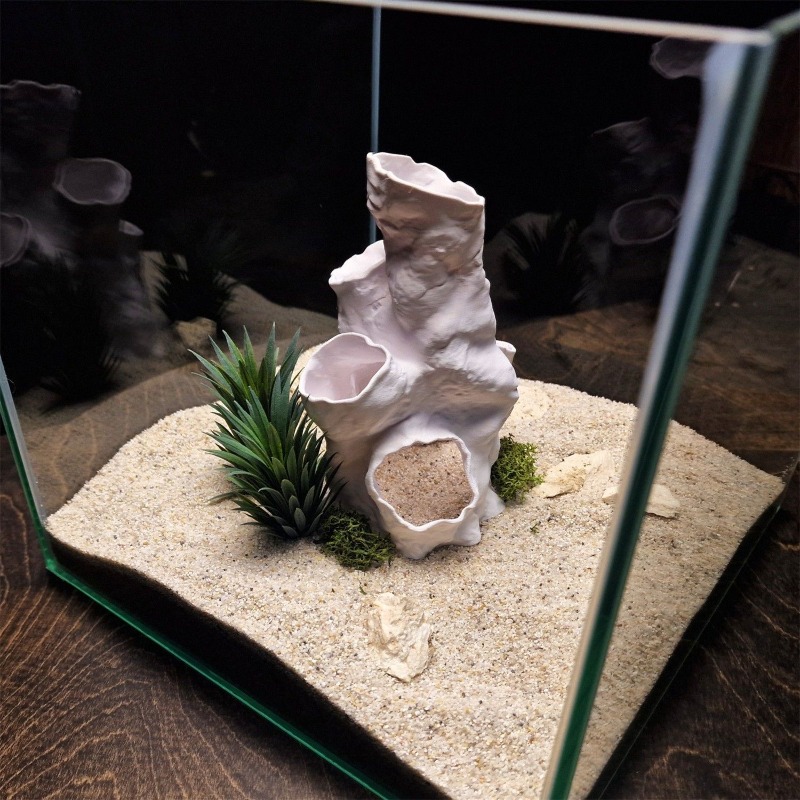 عرض ساخن: نفق مرجاني ثلاثي الأ - مراجعة Aquarium Fish For Sale وسعره