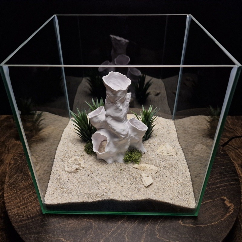 عرض ساخن: نفق مرجاني ثلاثي الأ - مراجعة Aquarium Fish For Sale وسعره