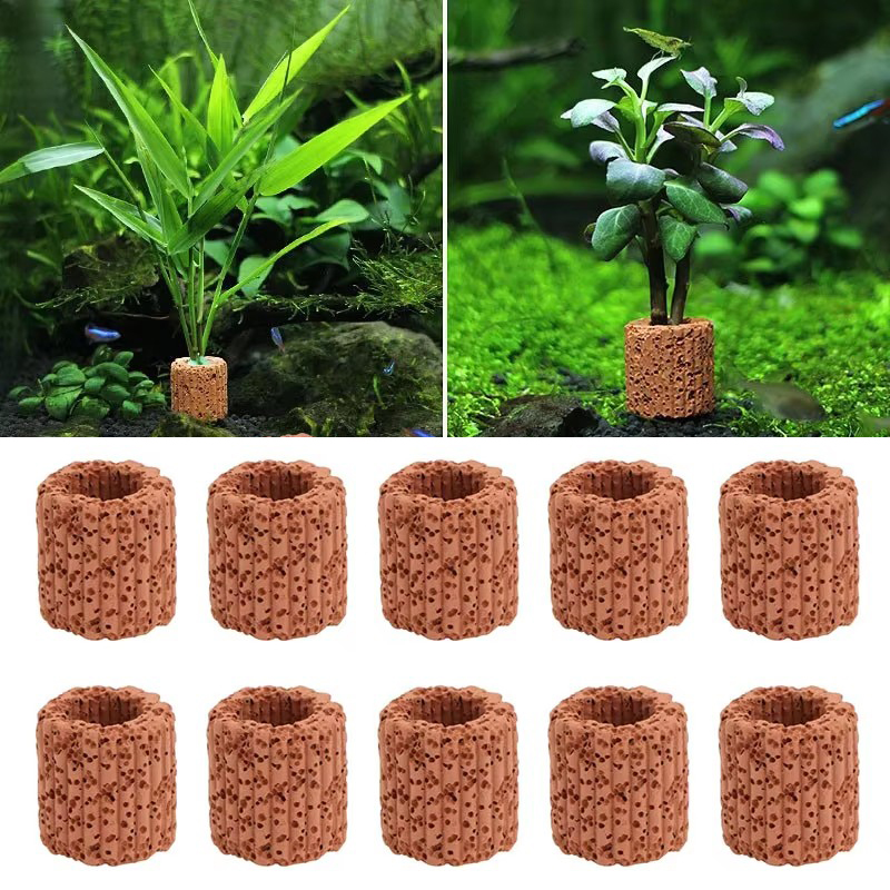 حلقة ثابتة للنباتات المائية لح - مراجعة Aquarium Fish Pot وسعره
