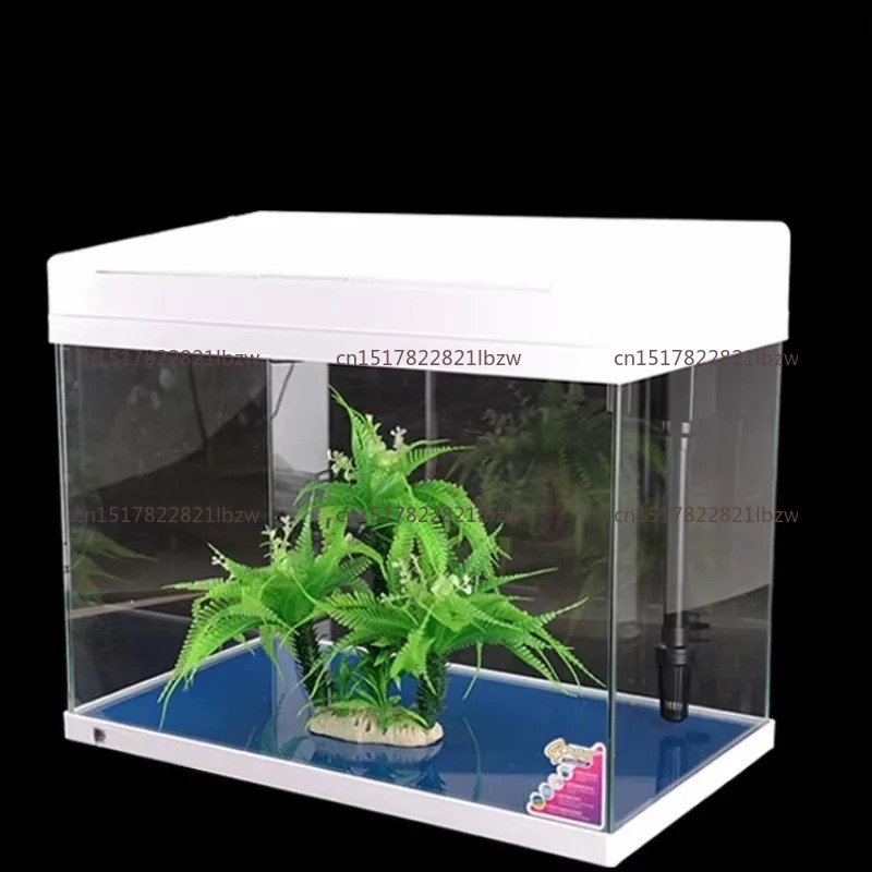 حوض سمك زجاجي صغير للمكتب والم - مراجعة Aquarium Mini Fish وسعره