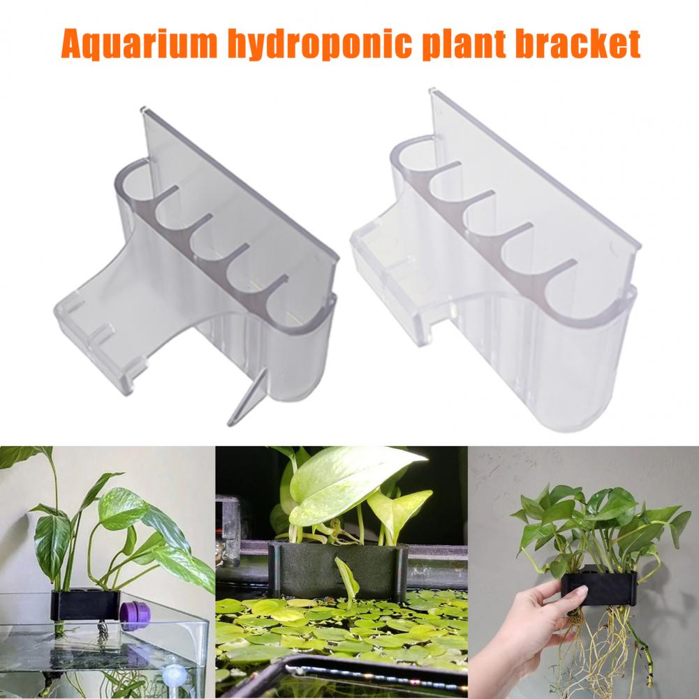 4.5/6.5 سنتيمتر حامل نبات حوض  - مراجعة Aquarium Fish Pot وسعره