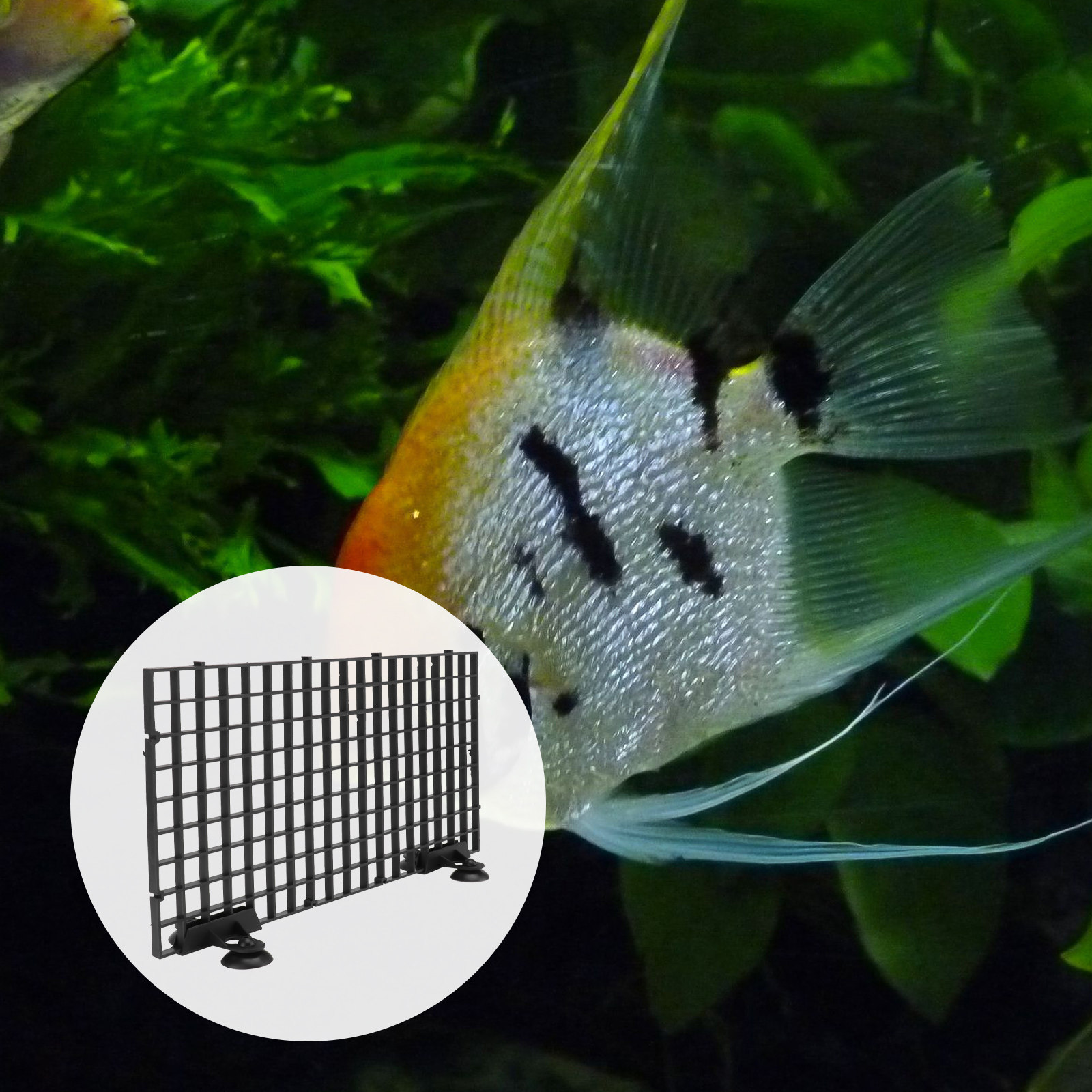 شبكة تربية الأسماك كبيرة الحجم - مراجعة Aquarium Fish Net Big Size وسعره