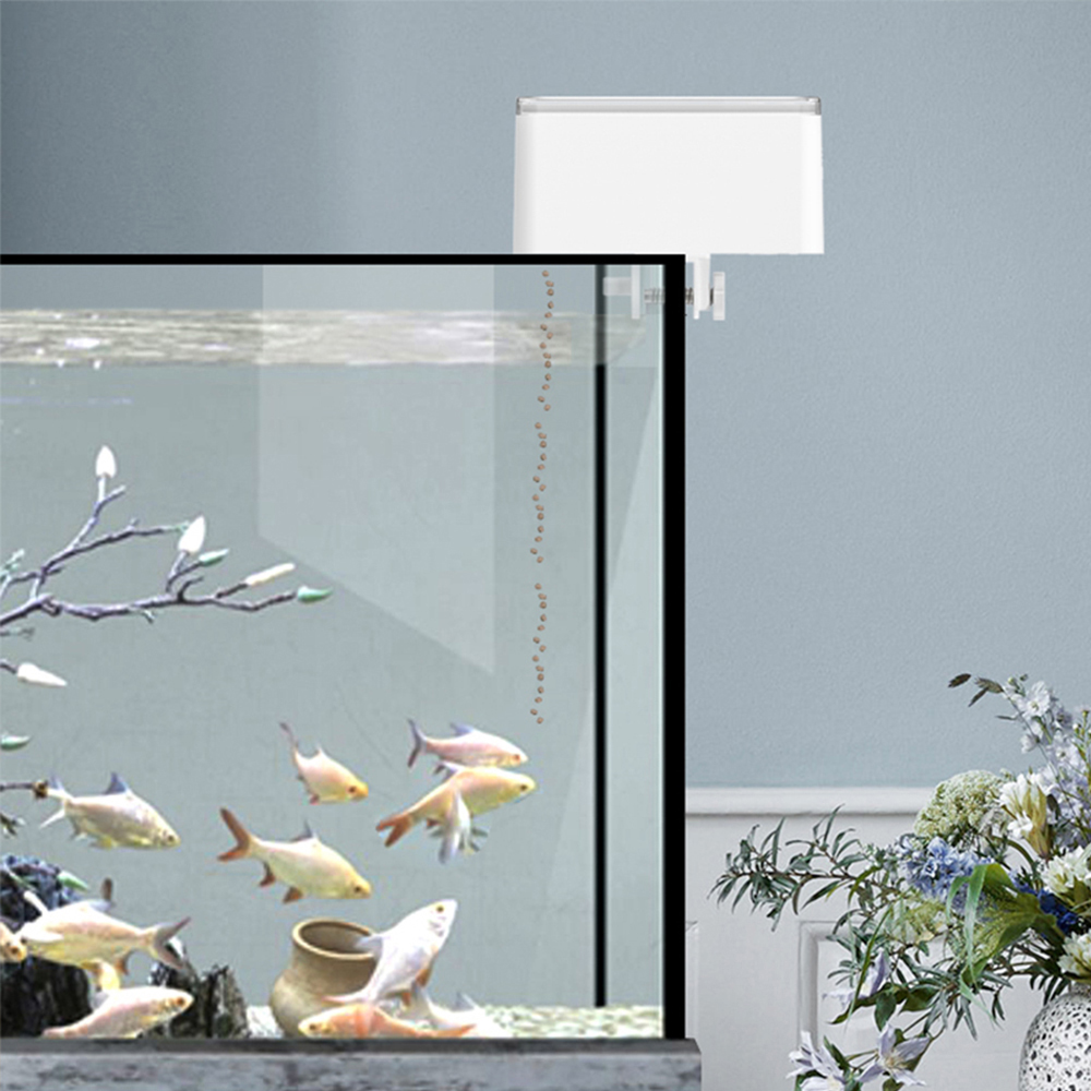 100 مللي سعة كبيرة وحدة تغذية  - مراجعة Aquarium Fish Big وسعره