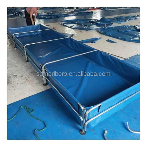 أحواض أسماك مربعة شفافة عالية  - مراجعة Aquarium Fish For Sale وسعره