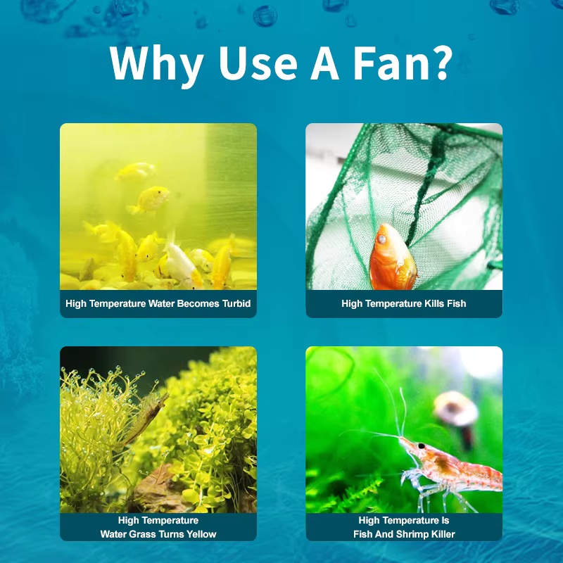 مروحة تبريد حوض السمك من سلسلة - مراجعة Fish Co Aquarium وسعره
