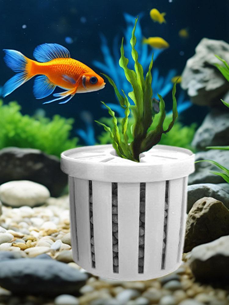 4 قطع سلة حاملة نباتات حوض الس - مراجعة Aquarium Fish Restaurant وسعره