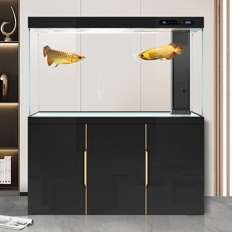 خزان الأسماك غرفة المعيشة 2025 - مراجعة Aquarium Fish Dragon وسعره