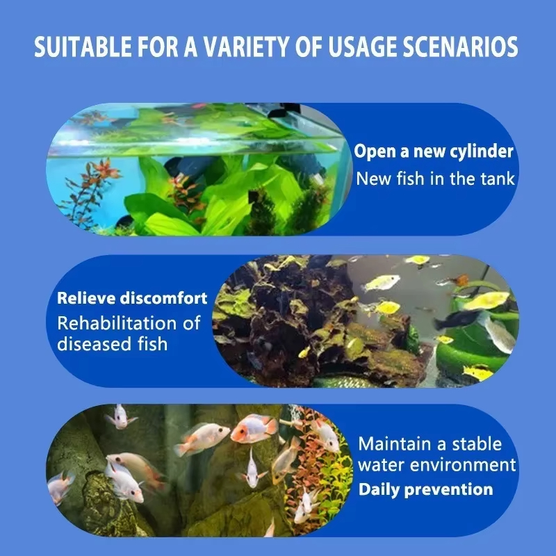 علاج أمراض السمك من سيكيزان وا - مراجعة Aquarium Fish Freshwater وسعره