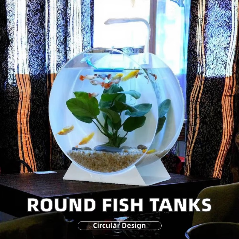 رائجة البيع خزانات الأسماك الا - مراجعة Aquarium Fish For Sale وسعره
