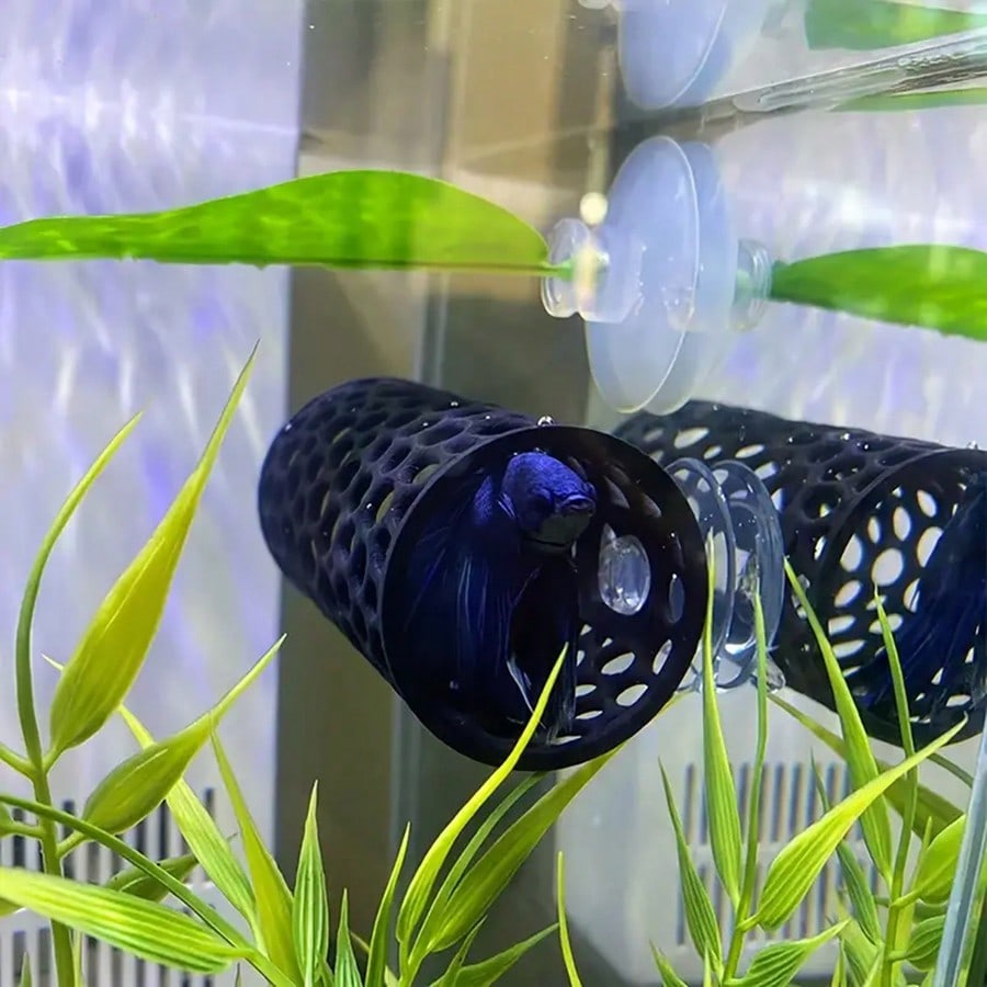 مخبأ سمك البيتا على شكل أنبوب  - مراجعة Aquarium Fish Hideout وسعره
