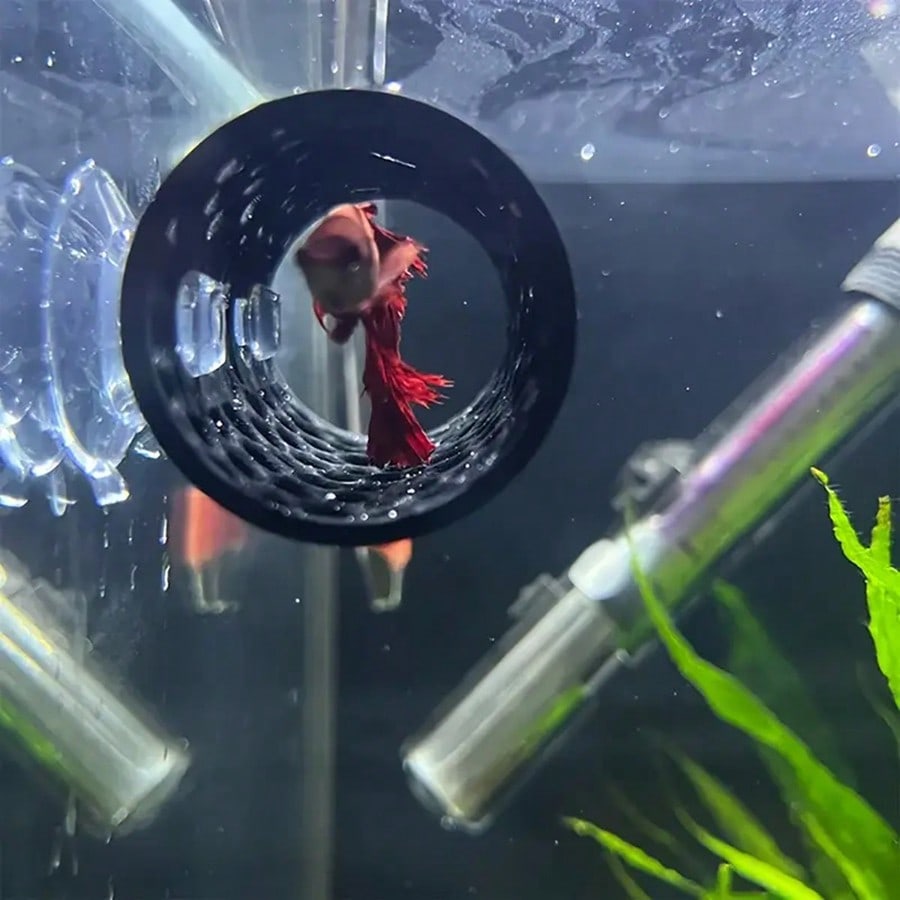 مخبأ سمك البيتا على شكل أنبوب  - مراجعة Aquarium Fish Hideout وسعره