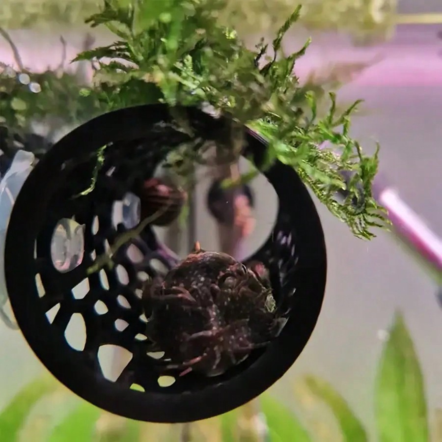 مخبأ سمك البيتا على شكل أنبوب  - مراجعة Aquarium Fish Hideout وسعره