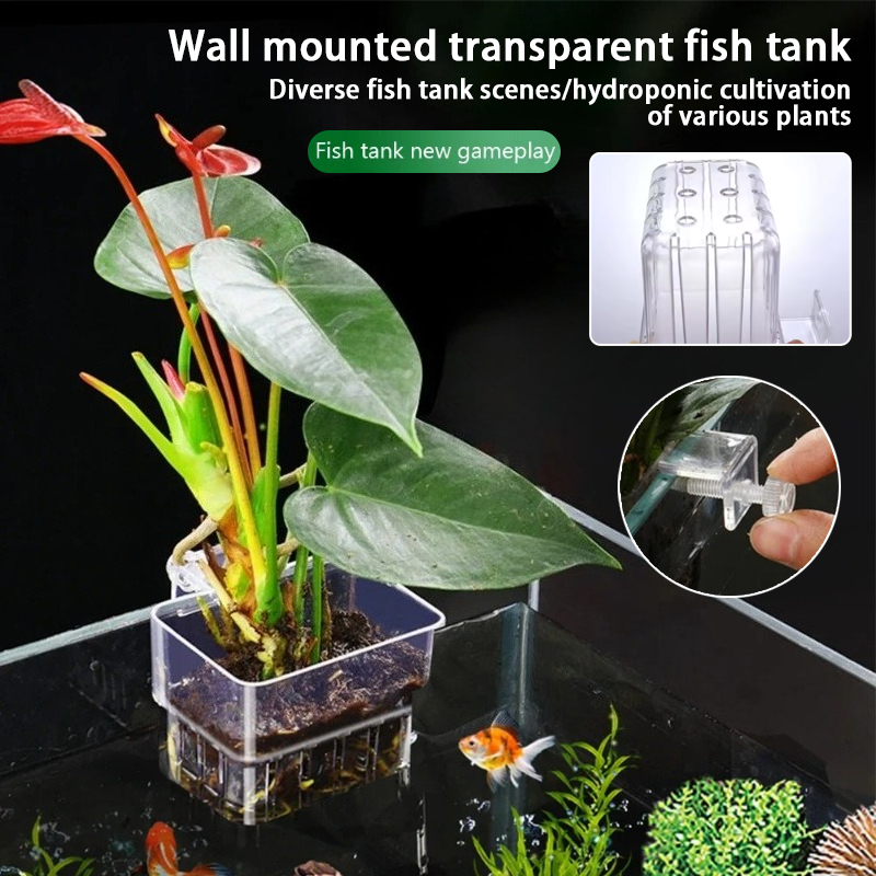 أكواب زرع معلقة للأحواض المائي - مراجعة Aquarium Fish Pot وسعره
