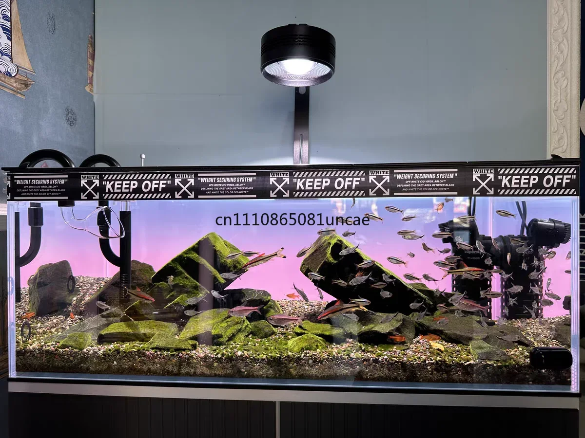 خلفية حوض السمك الأكريليكية مت - مراجعة Aquarium Fish Colour وسعره