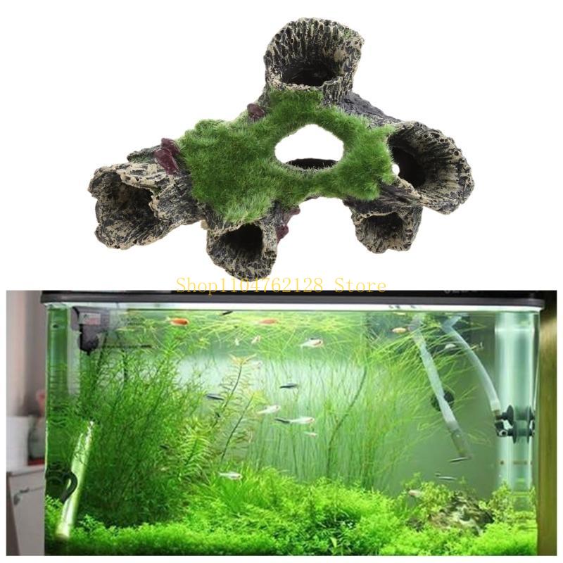 الأسماك للدبابات الديكور حوض ا - مراجعة Aquarium Fish For Sale وسعره