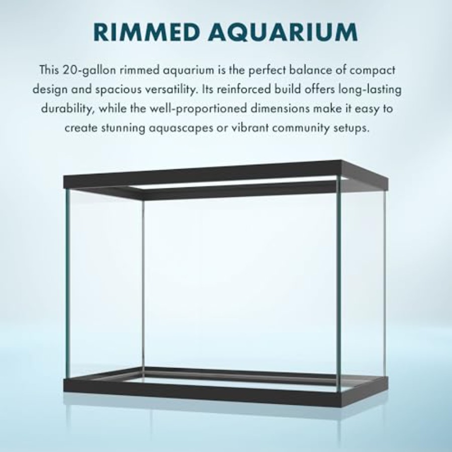 حوض سمك زجاجي سعة 20 جالون - 2 - مراجعة Aquarium Fish Big وسعره