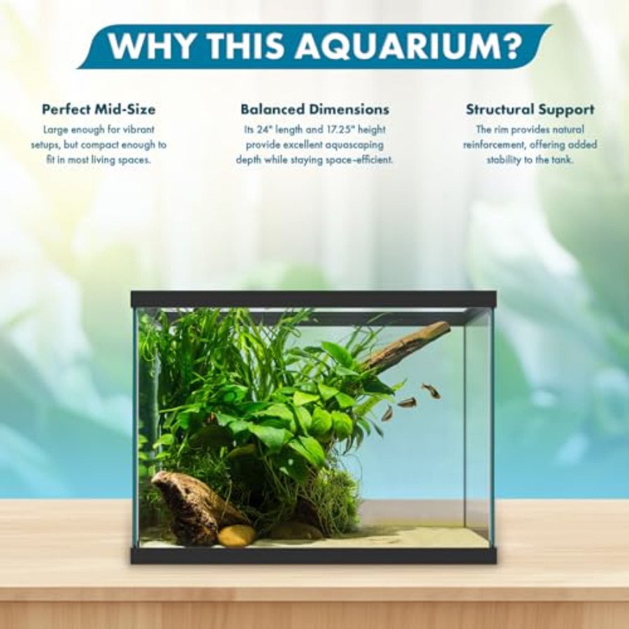 حوض سمك زجاجي سعة 20 جالون - 2 - مراجعة Aquarium Fish Big وسعره