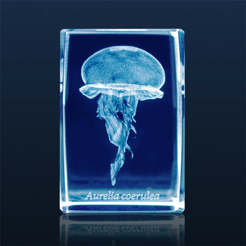 اليابان Gashapon قنديل البحر ث - مراجعة Aquarium Fish Japan وسعره