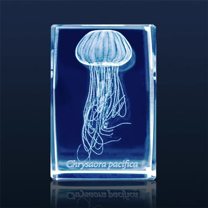 اليابان Gashapon قنديل البحر ث - مراجعة Aquarium Fish Japan وسعره